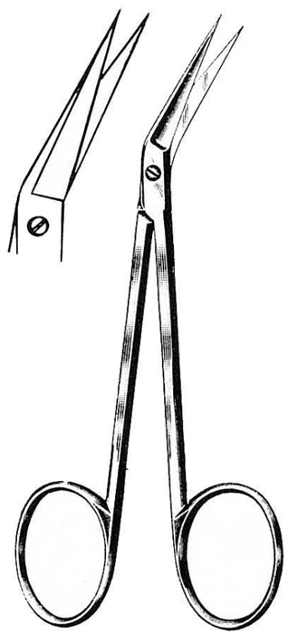 Text