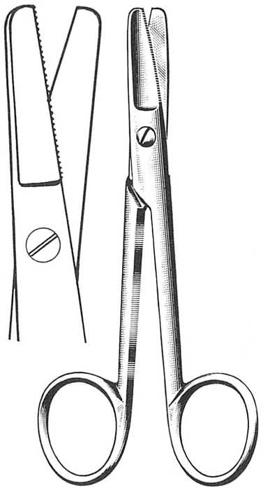 Text
