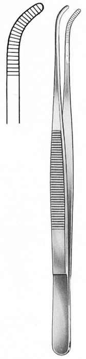 Text