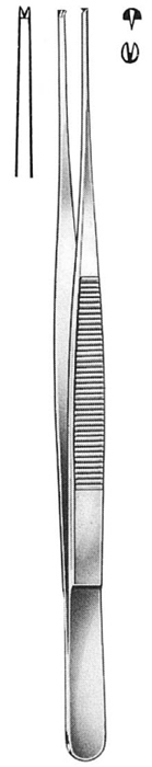 Text