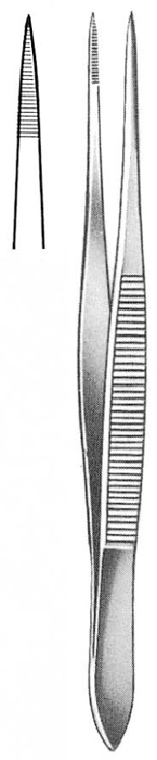 Text