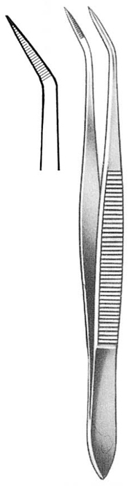 Text