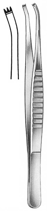 Text