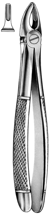Text