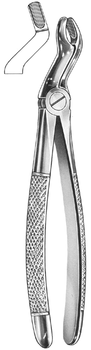 Text