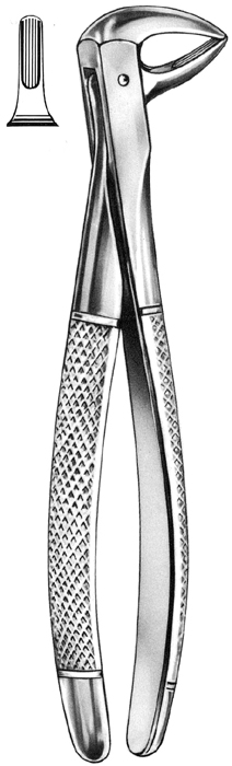 Text