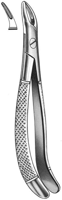 Text