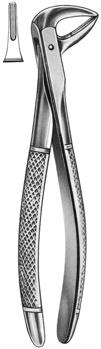 Text
