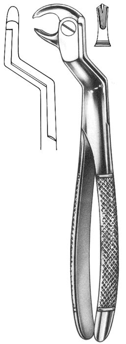 Text