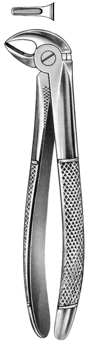 Text