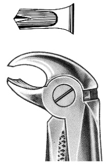 Text