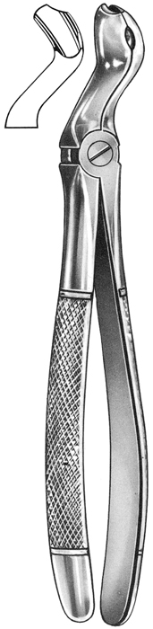 Text