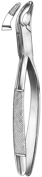 Text