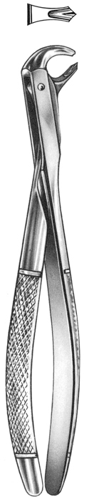 Text