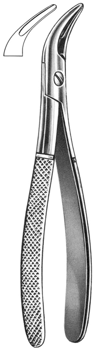 Text