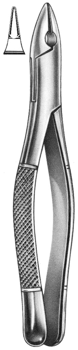 Text