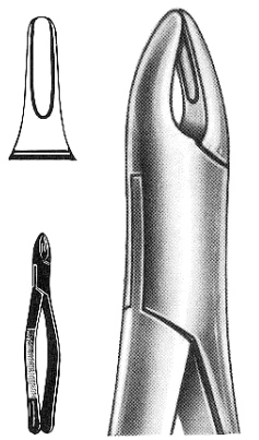 Text