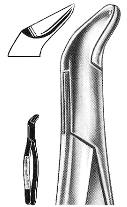 Text