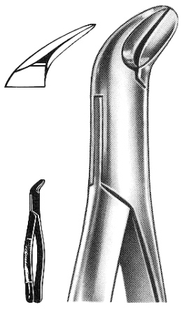 Text