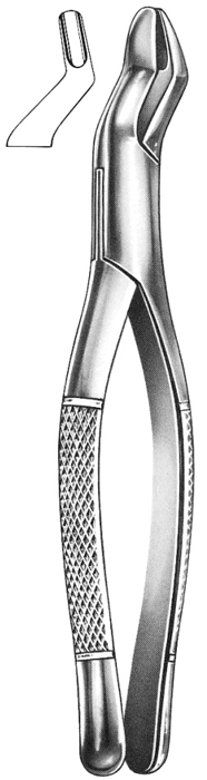 Text