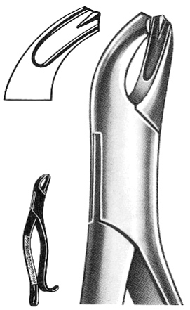 Text