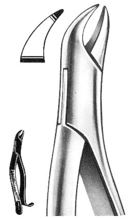 Text