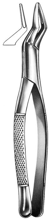 Text