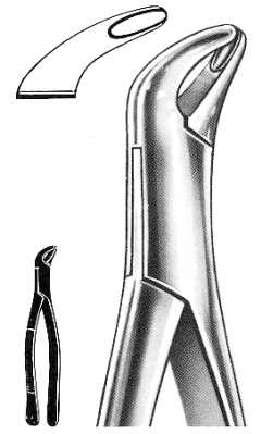 Text