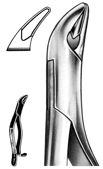 Text