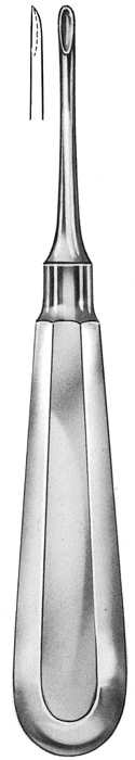 Text