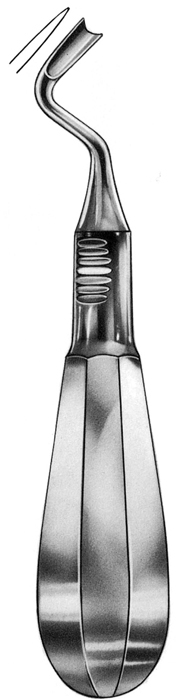 Text