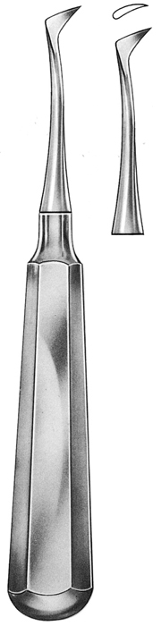 Text