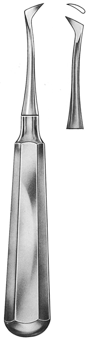 Text
