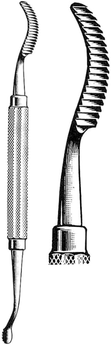 Text