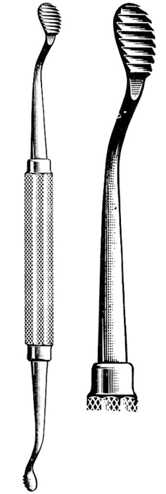 Text