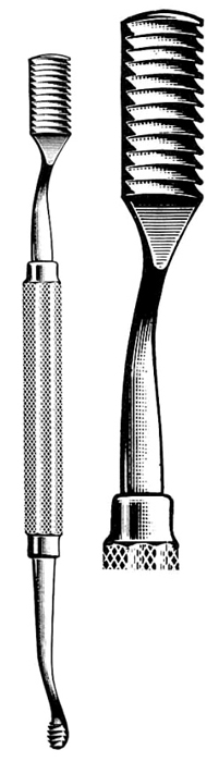 Text