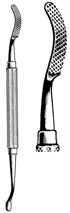 Text