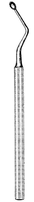 Text