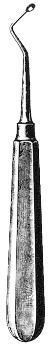 Text