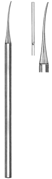 Text