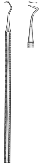 Text