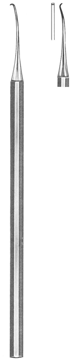 Text