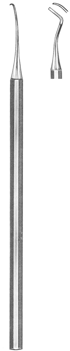 Text