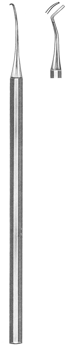 Text